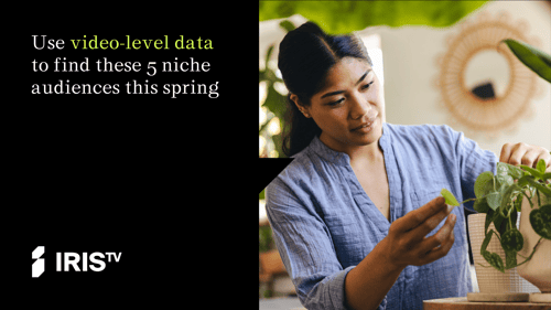 Use video-level data to find these 5 niche audiences this spring